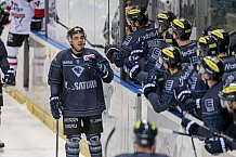 ERC Ingolstadt - Koelner Haie, Eishockey, DEL, Deutsche Eishockey Liga, Spieltag 16, 01.11.2015