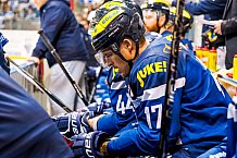 ERC Ingolstadt - Krefeld Pinguine, Eishockey, DEL, Deutsche Eishockey Liga, Spieltag 35, 05.01.2017