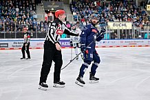 Eishockey, Herren, DEL, Saison 2024-2025, Spieltag 49, ERC Ingolstadt - Straubing Tigers, 28.02.2025
