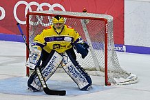 ERC Ingolstadt vs Krefeld Pinguine am 01.02.2019, Spieltag 44