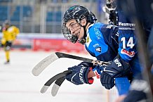 Eishockey, Herren, U20 DNL, Saison 2025-2026, ERC Ingolstadt - Krefeld Pinguine, 10.01.2026