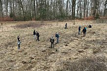 Eishockey, Herren, DEL, Saison 2023-2024, ERC Ingolstadt - Baumpflanzaktion, 03.03.2024