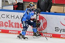 Eishockey, Frauen, DFEL, Saison 2023-2024, ERC Ingolstadt - EC Bergkamener Bären, 28.10.2023