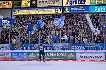 Eishockey, Herren, DEL, Saison 2024-2025, Spieltag 49, ERC Ingolstadt - Straubing Tigers, 28.02.2025