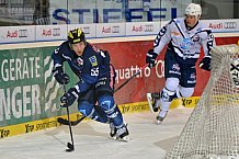 ERC Ingolstadt vs Hamburg Freezers, Eishockey, DEL, Deutsche Eishockey Liga, 10.01.2016