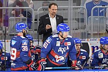 Eishockey, Herren, DEL, Saison 2020-2021, Adler Mannheim - ERC Ingolstadt, 24.01.2021