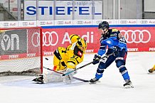 Eishockey, U20, DNL, Saison 2024-2025, ERC Ingolstadt - Krefelder EV 81, 01.03.2025