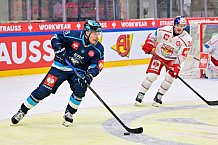 Hockey, Mens, CHL, Season 2025-2026, Regular Season, Round of 16, ERC Ingolstadt - EC Red Bull Salzburg, 12.11.2025