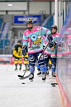 Eishockey, Frauen, DFEL, Saison 2023-2024, ERC Ingolstadt - Mad Dogs Mannheim, 18.02.2024