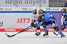 Eishockey, Frauen, DFEL, Playoffs, Saison 2023-2024, ERC Ingolstadt - Eisbären Berlin, 02.03.2024