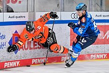 Eishockey, Herren, DEL, Saison 2025-2026, Playoffs Halbfinale, Spiel 3, ERC Ingolstadt - Grizzlys Wolfsburg, 19.09.2025