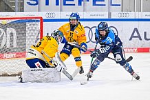 Eishockey, Frauen, DFEL, Saison 2025-2026, Testspiel, ERC Ingolstadt - HC Davos, 14.02.2026