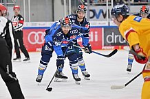 Eishockey, Herren, DEL, Saison 2023-2024, Spieltag 6, ERC Ingolstadt - Düsseldorfer EG, 01.10.2023