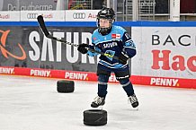 Eishockey, Herren, DEL, Saison 2022-2023, ERC Ingolstadt - Kids On Ice Day, 14.01.2023