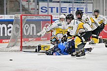 Eishockey, Frauen, DFEL, Saison 2023-2024, ERC Ingolstadt - Mad Dogs Mannheim, 18.02.2024