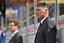 ERC Ingolstadt vs Grizzlys Wolfsburg, Eishockey, DEL, Deutsche Eishockey Liga, 31.01.2016