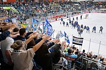 Eishockey, Herren, DEL, Saison 2023-2024, Spieltag 6, ERC Ingolstadt - Düsseldorfer EG, 01.10.2023