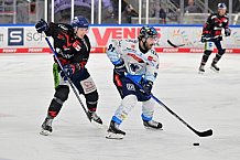 Eishockey, Herren, DEL, Saison 2024-2025, Spieltag 39, Straubing Tigers - ERC Ingolstadt, 24.01.2025