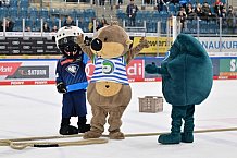 Eishockey, Herren, DEL, Saison 2024-2025, Spieltag 26, ERC Ingolstadt - Iserlohn Roosters, 15.12.2024