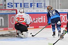 Eishockey, Frauen, DFEL, Saison 2024-2025, ERC Ingolstadt - EC Bergkamener Bären, 04.01.2025