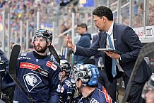 Eishockey, Herren, DEL, Saison 2024-2025, Playoffs Halbfinale, Spiel 5, ERC Ingolstadt - Kölner Haie, 11.04.2025