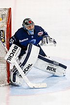 ERC Ingolstadt - Adler Mannheim, Eishockey, DEL, Deutsche Eishockey Liga, Spieltag 47, 24.02.2016