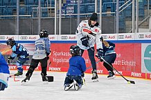 Eishockey, Herren, DEL, Saison 2023-2024, ERC Ingolstadt - Kids on Ice Day, 18.11.2023