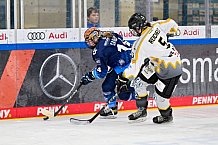 Eishockey, Frauen, DFEL, Saison 2024-2025, ERC Ingolstadt - Mad Dogs Mannheim, 23.11.2024