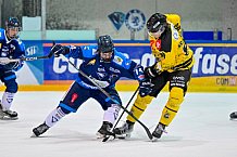 Eishockey, Herren, U20 DNL, Saison 2025-2026, Halbfinale - Spiel 5, ERC Ingolstadt - Krefelder EV 81, 24.03.2026