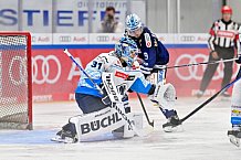 Eishockey, Herren, DEL, Saison 2024-2025, Vorbereitung, ERC Ingolstadt - Dresdner Eislöwen, 18.08.2024
