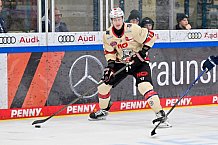 Eishockey, Herren, DEL, Saison 2024-2025, Playoffs Viertelfinale, Spiel 5, ERC Ingolstadt - Nürnberg Ice Tigers, 26.03.2025