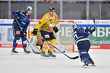 Vorbereitung, Eishockey, Herren, DEL, Saison 2021-2022, ERC Ingolstadt - spusu Vienna Capitals, 04.09.2021