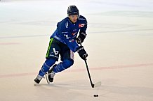 Eishockey, Herren, DEL, Saison 2025-2026, Vinschgau Cup, Spiel 3, ZSC Lions - Straubing Tigers, 24.08.2025
