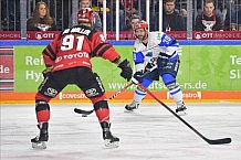 Koelner Haie vs ERC Ingolstadt, DEL, Deutsche Eishockey Liga, Playoffs, Viertelfinale, Spiel 7, 31.03.2019