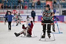 Eishockey, Herren, DEL, Saison 2023-2024, ERC Ingolstadt - Kids on Ice Day, 30.09.2023