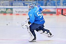 Eishockey, Herren, DEL, Saison 2024-2025, Spieltag 15, ERC Ingolstadt - Augsburger Panther, 03.11.2024