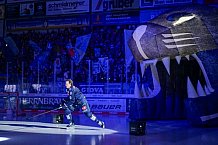 Eishockey, Herren, DEL, Saison 2024-2025, Spieltag 49, ERC Ingolstadt - Straubing Tigers, 28.02.2025