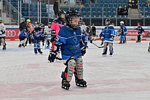 Eishockey, Herren, DEL, Saison 2024-2025, ERC Ingolstadt - Kids On Ice Day, 11.01.2025
