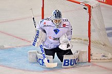 Eishockey, Herren, DEL, Saison 2021-2022, Spieltag 3, Straubing Tigers - ERC Ingolstadt, 17.09.2021