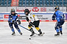 Eishockey, Frauen, DFEL, Saison 2023-2024, ERC Ingolstadt - Mad Dogs Mannheim, 18.02.2024