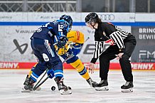 Eishockey, Frauen, DFEL, Saison 2025-2026, Testspiel, ERC Ingolstadt - HC Davos, 14.02.2026