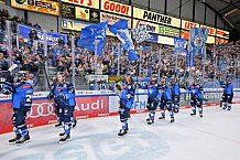 Eishockey, Herren, DEL, Saison 2023-2024, Spieltag 16, ERC Ingolstadt - Grizzlys Wolfsburg, 01.11.2023