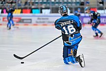 Eishockey, Herren, DEL, Saison 2025-2026, Spiel 23, ERC Ingolstadt - Dresdner Eislöwen, 28.11.2025