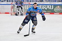 Eishockey, Herren, DEL, Saison 2023-2024, Spieltag 38, ERC Ingolstadt - Adler Mannheim, 14.01.2024