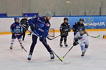 Eishockey, Herren, DEL, Saison 2021-2022, ERC Ingolstadt - Kids on Eis Day, 06.11.2021