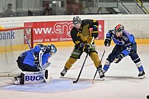 Eishockey, Herren, DEL, Saison 2023-2024, Vinschgau Cup, ERC Ingolstadt - HC Pustertal, 25.08.2023