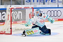 Eishockey, Herren, DEL, Saison 2025-2026, Spiel 23, ERC Ingolstadt - Dresdner Eislöwen, 28.11.2025