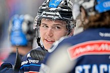 Eishockey, Herren, DEL, Saison 2024-2025, Playoffs Viertelfinale, Spiel 3, ERC Ingolstadt - Nürnberg Ice Tigers, 21.03.2025