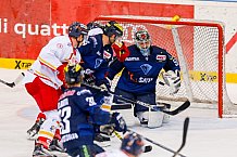 ERC Ingolstadt - Duesseldorfer EG, Eishockey, DEL, Deutsche Eishockey Liga, Spieltag 24, 06.12.2015