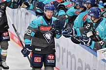 Eishockey, Herren, DEL, Saison 2026-2027, Spieltag 4, ERC Ingolstadt - Adler Mannheim, 27.09.2026